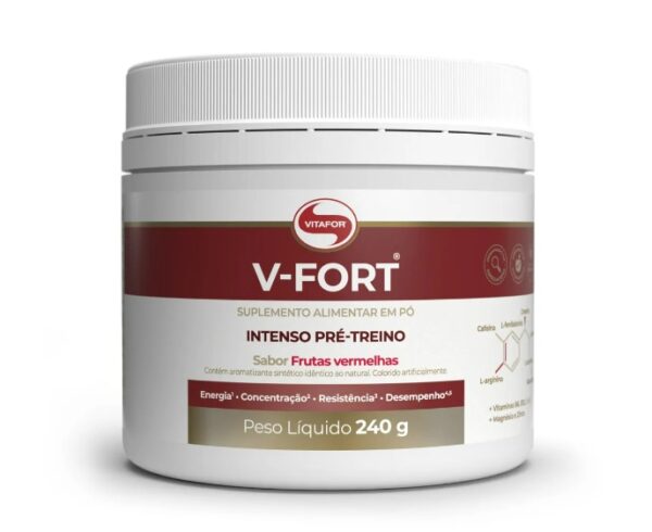 V-Fort